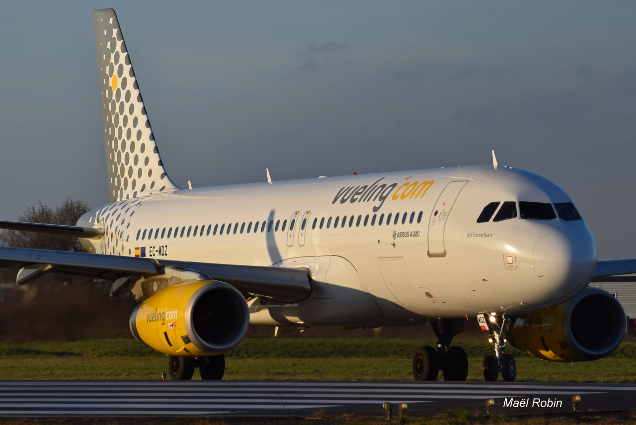 Rennes Saint Jacques Airport (LFRN/RNS) Février 2017  536498fevrier31063filtered