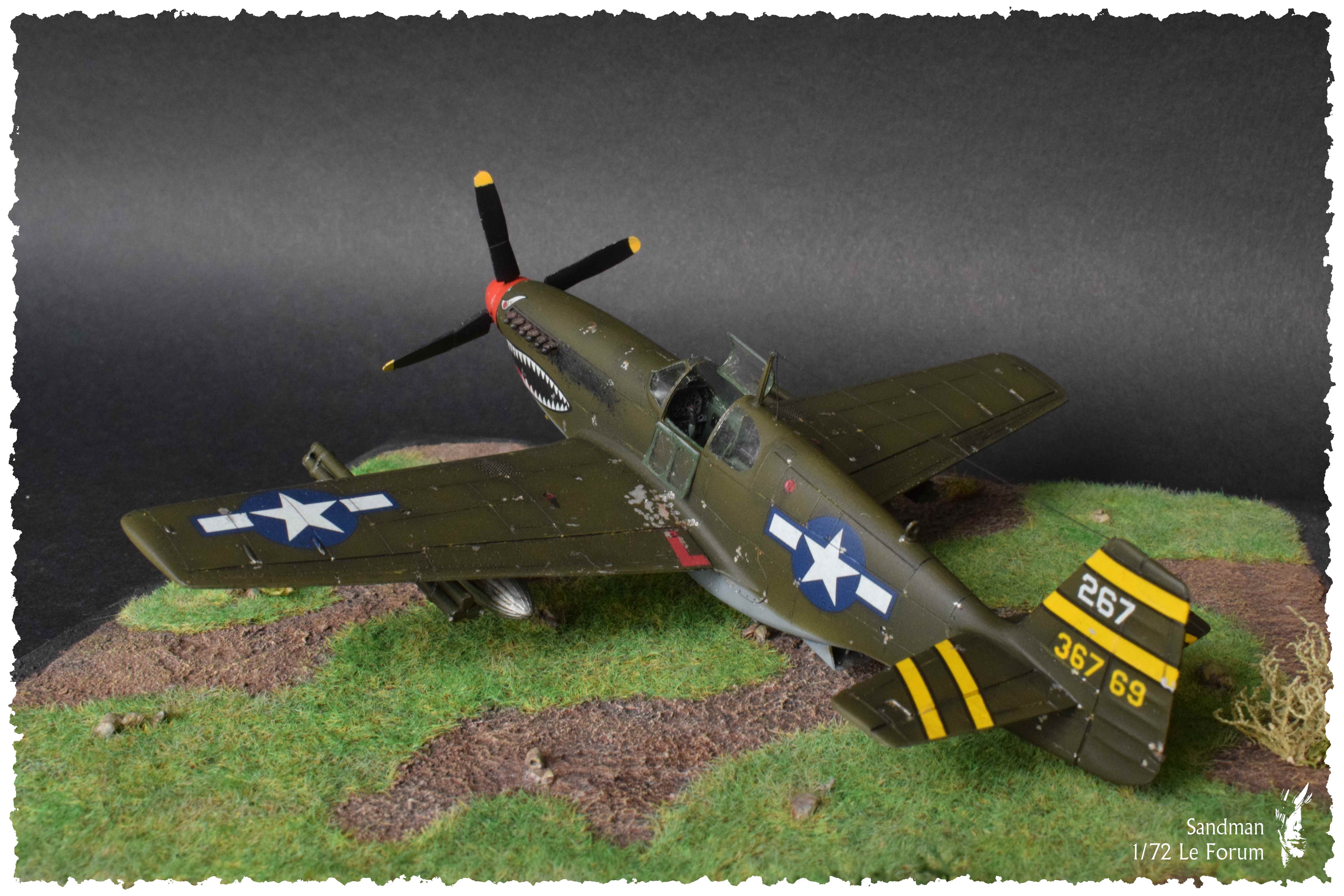 [Revell] P-51B Mustang 537289P51B79