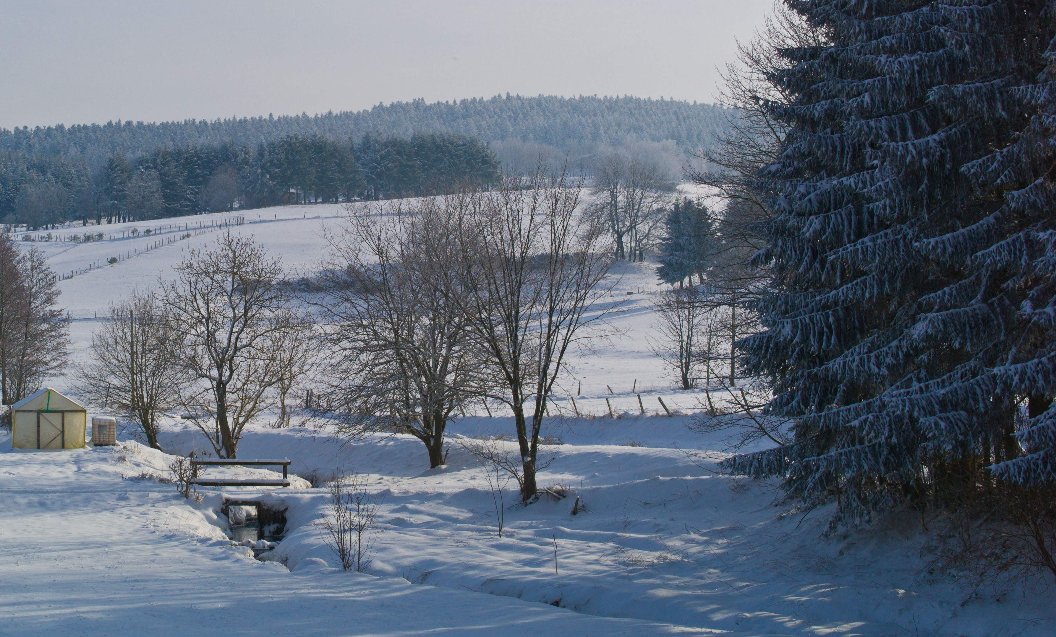 Parc Naturel Régional du Pilat 539288neige13f1