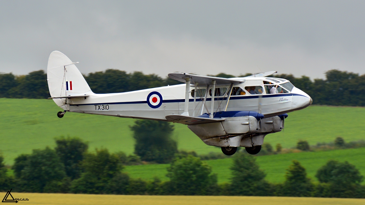 Flying legends 2016 - Duxford - Page 2 5413571280DSC1266