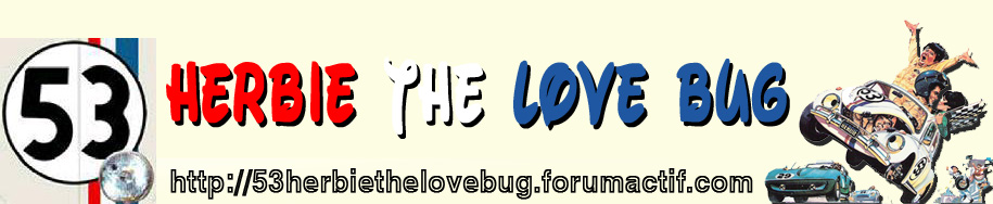 53 - Herbie the love bug -  53