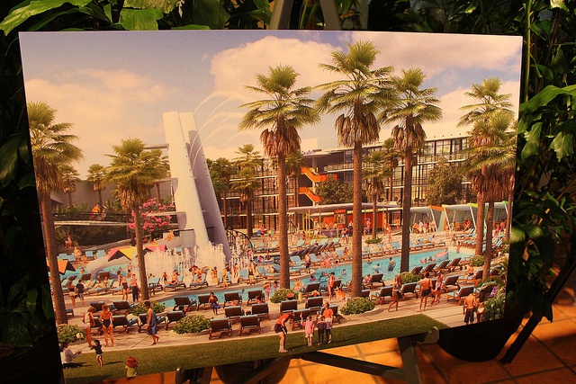 Universal's Cabana Bay Beach Resort [Universal Orlando Resort - 2014] 544043cbbr3