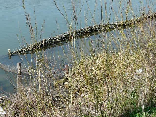 BALADE AU FIL DE L'EAU EN ILE DE FRANCE 544837003