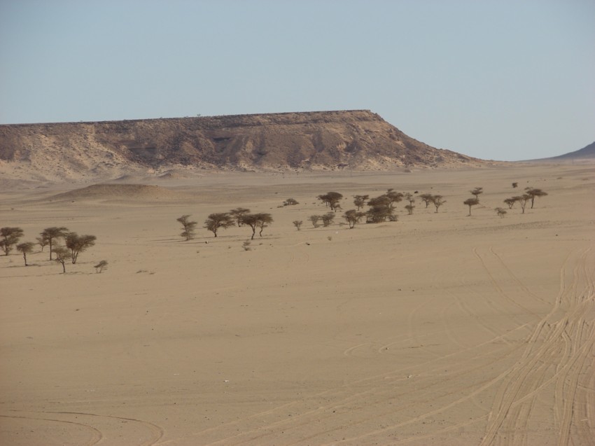 Le Grand Sud du Maroc - II 545929054