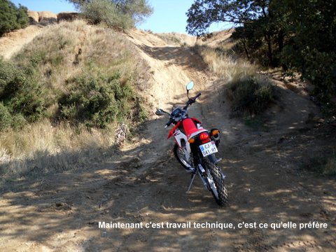 Essai TT de la HONDA CRF250L 547400SDC15605