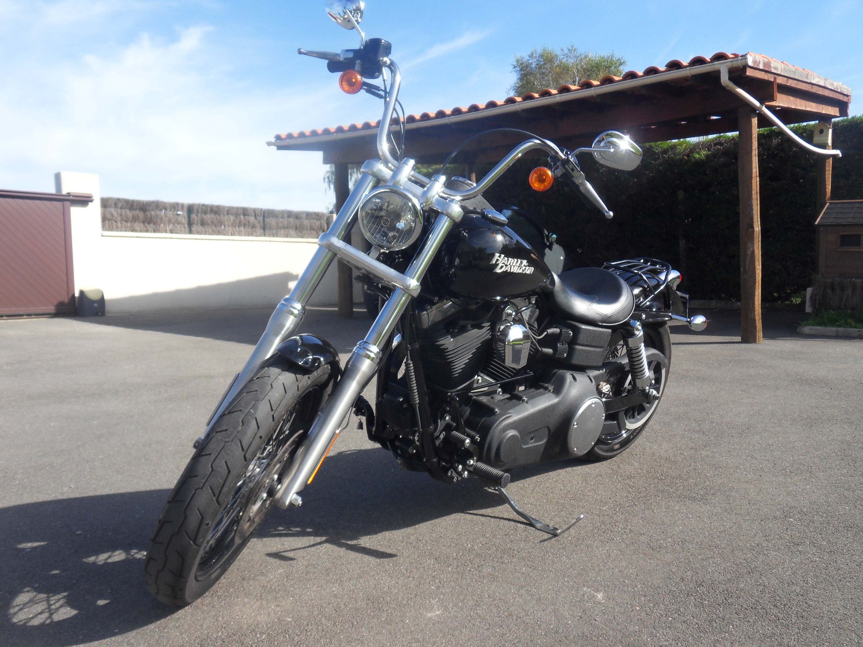 Début des modifs sur mon Street Bob 550158SDC10719