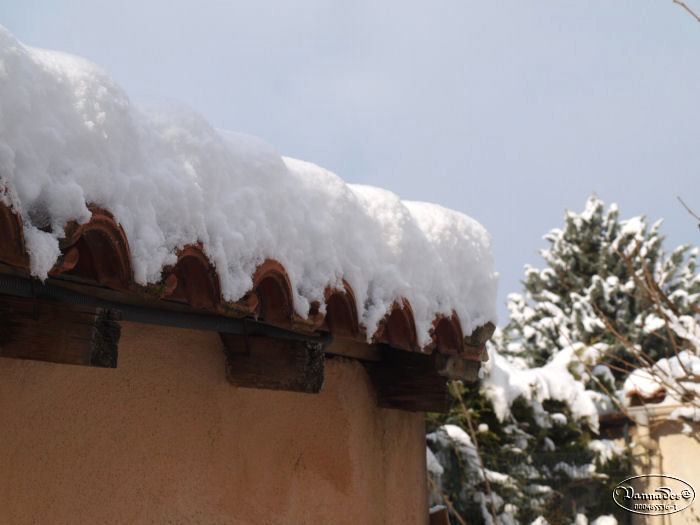 Neige du 11 Février 2012 ( mon jardin féerique♥♥♥ ) 5517121112