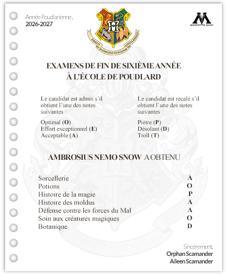 [EXAMENS #1] Résultats des examens de l'année 2026/2027 552974ExamNemoSnow