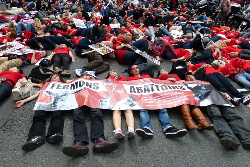 15 - Marche pour la fermeture des abattoirs - Paris - 15 juin 2013  553956P1040138