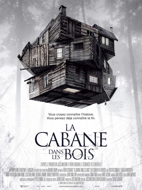 LA CABANE DANS LES BOIS [2011] 555172Lacabanedanslesbois