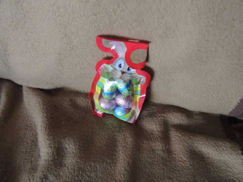 Le Lapin de Pâques surprise  2016 (Inscriptions closes) 556509DSCN3972