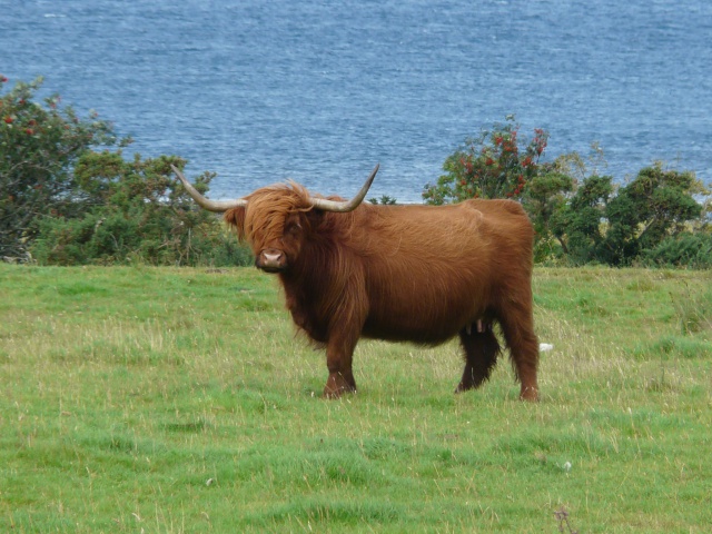 L'Ecosse en aout 2012 en side-car 557011465