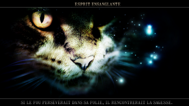 Reflet de Lune || La lune se voile derriere les grands arbres.. [ U.C ] 560134471EspritEnsanglant