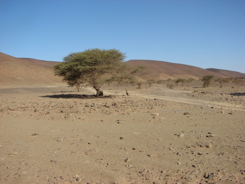 Le Grand Sud du Maroc - II 563151083