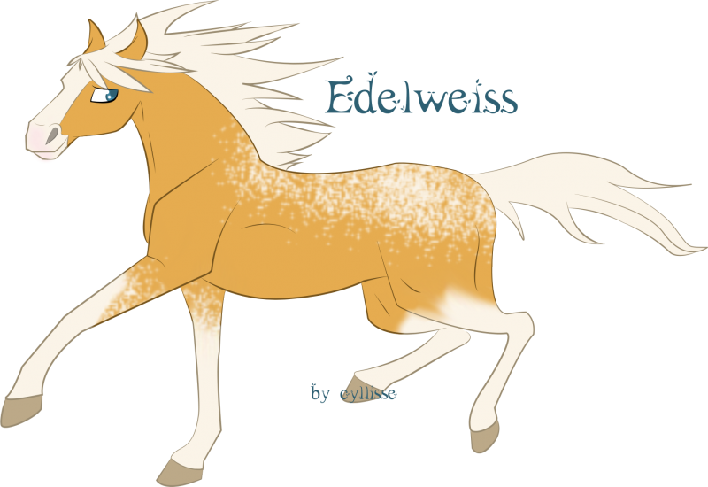 Edelweiss - Solitaire - jument 564506autre