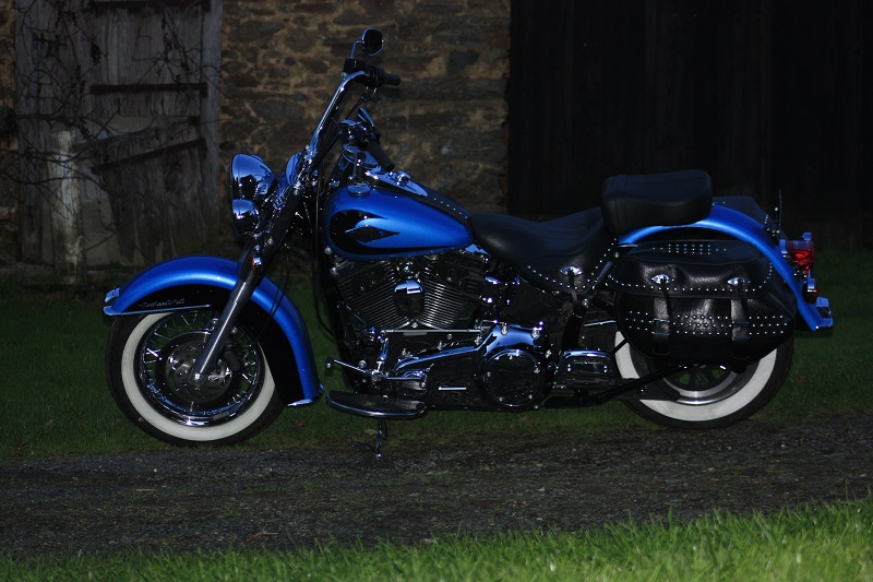 Combien de Softail sur le forum Passion-Harley - Page 9 567282MG2440