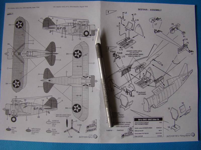 [Aéronavales 2014] [Special Hobby] Grumman F3F-3 TERMINE 569397DSC03045