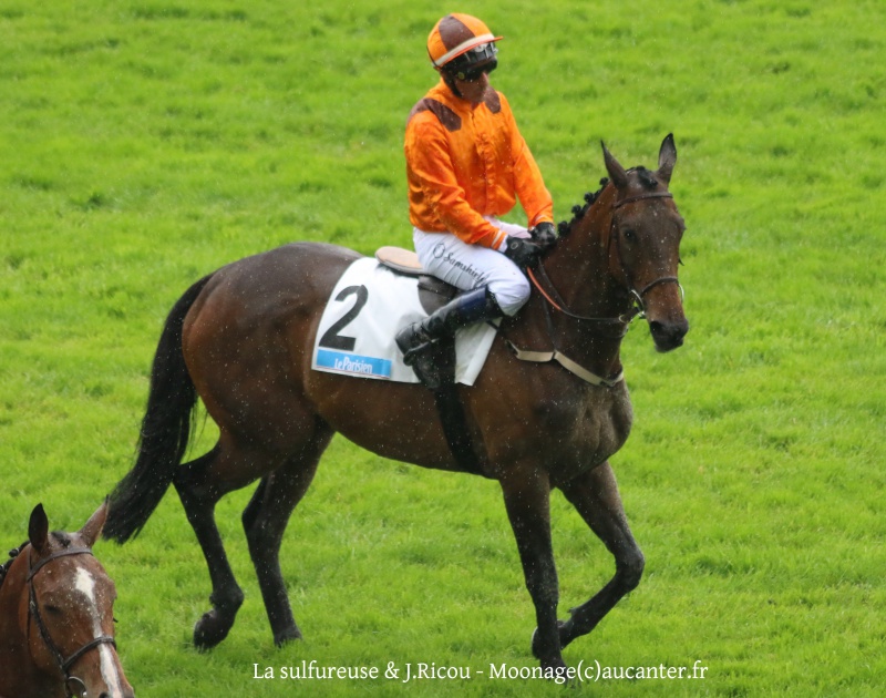 Photos Auteuil 22-05-2016 5761945J6A2683