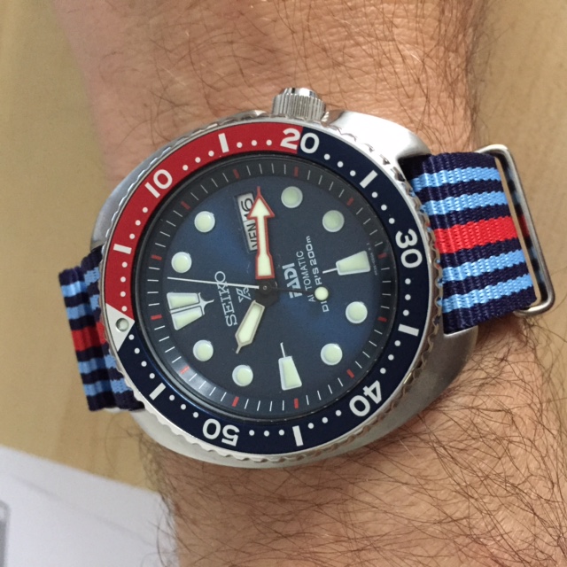 La montre du vendredi, le TGIF watch! - Page 27 577280TurtlePADI012