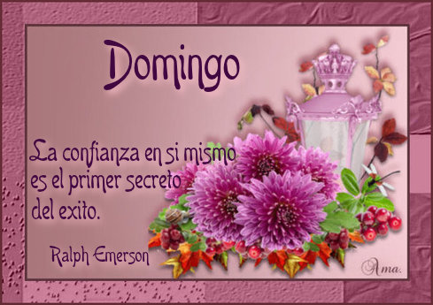 Flores con Frase 580128domingo