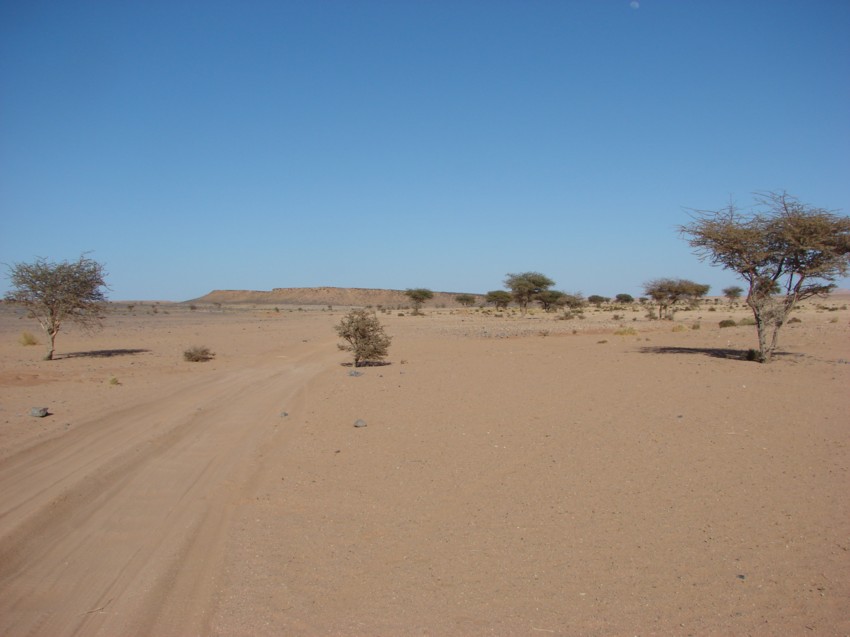 Le Grand Sud du Maroc - II 584647104