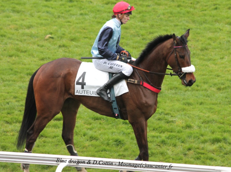 Photos Auteuil 2-04-2016 585979IMG9690