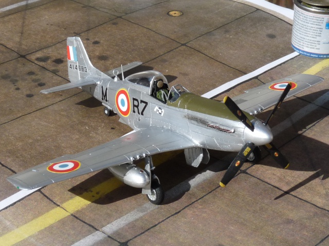 Mustang F 6D ER 2/33 SAVOIE 1945 588701010