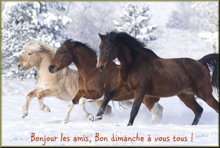 Bonjour bonsoir,...blabla Decembre 2013 - Page 7 589335di200110