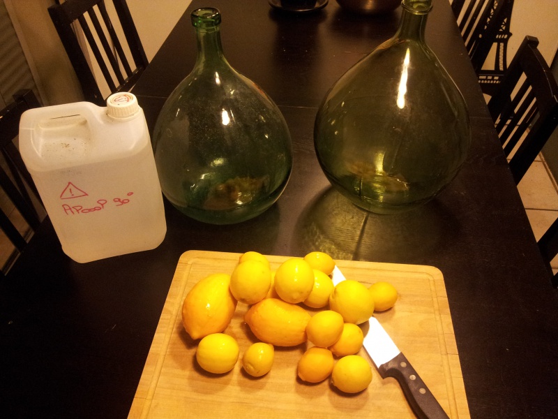 Recette : "le vin de citron de Miky" (Pourquoi les bleues vont plus vite) 59066820150129222951