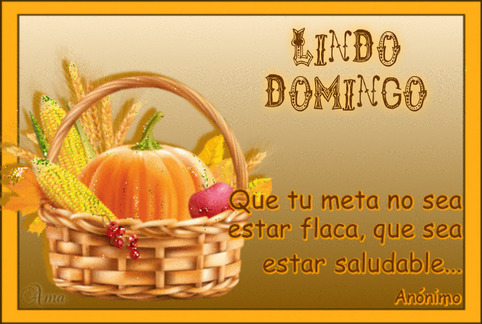 Canasta Saludable con Frase 594210DOMINGO