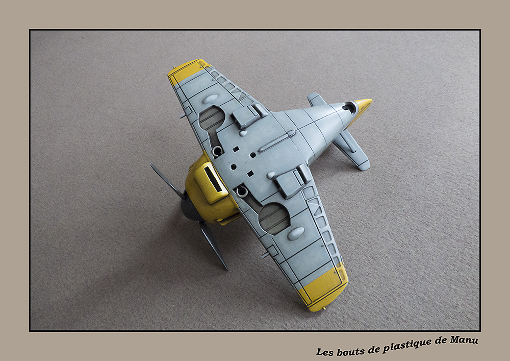 tiger - Bf 109 Tiger Model egg plane-FINI ! - Page 2 5949766444