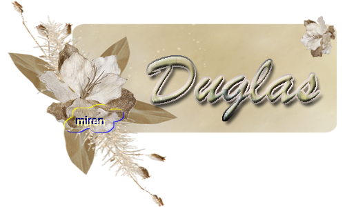 Nombres con D 5960932Duglas