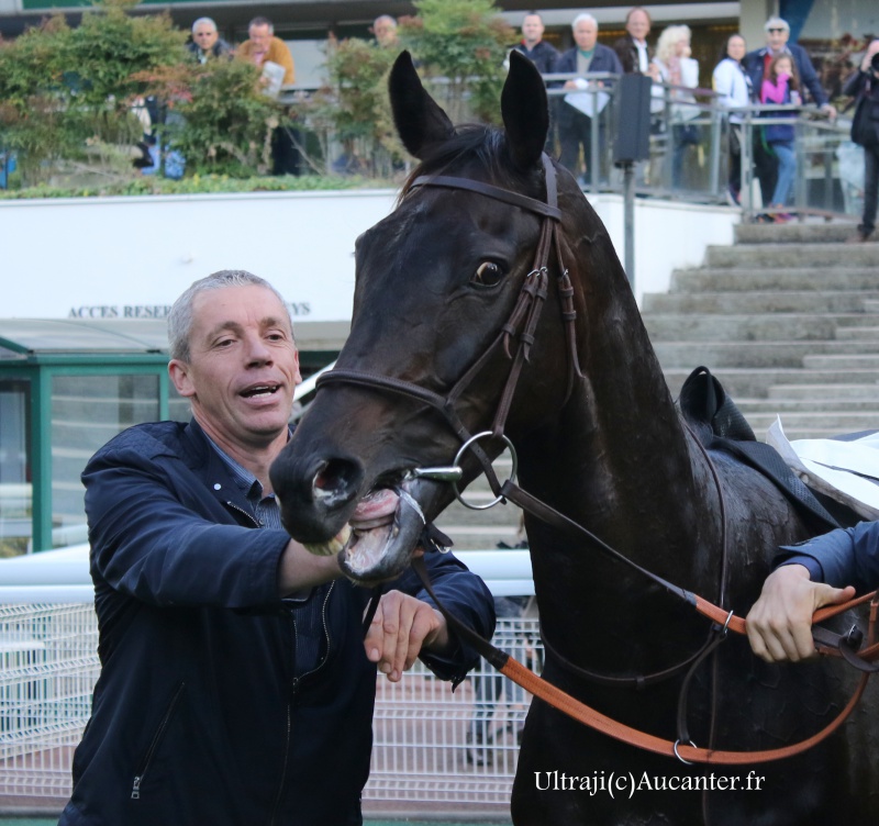 Photos Auteuil 9-10-2016 5971825J6A7927