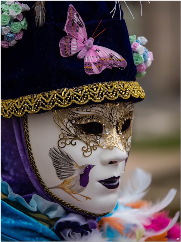 CARNAVAL VENITIEN DE REMIREMONT ( Les Photos )  - Page 5 597506LR4P1030330