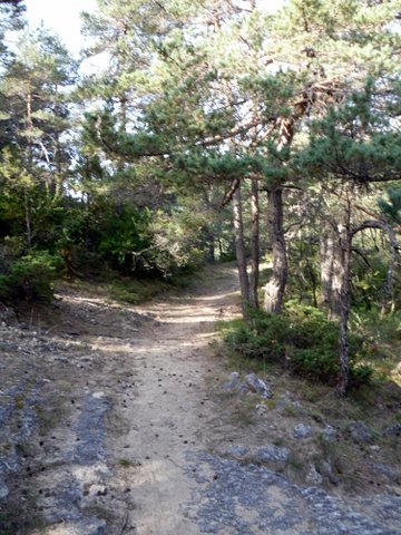 Entre l'Aveyron et la Lozère 600532SDC15436