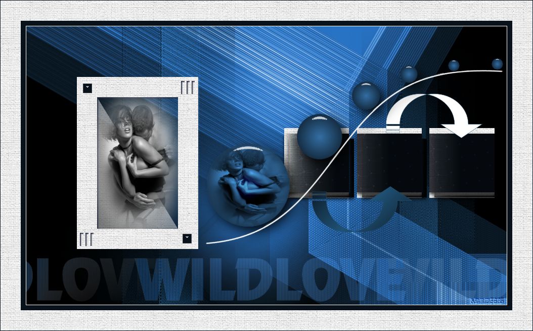 Wild Love 602041atuto