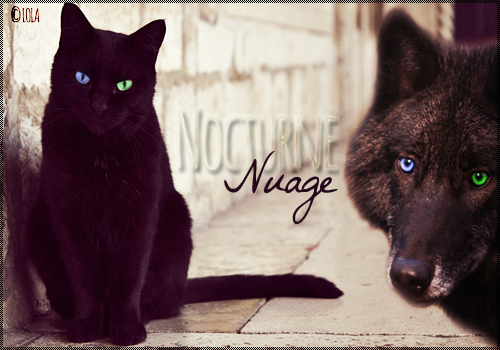 Nuage Nocturne.♥ 604360NuageNocturne