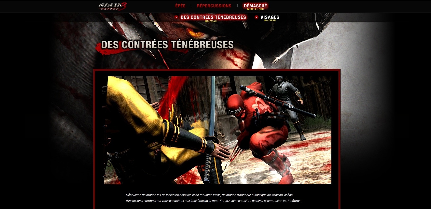 Le site officiel de la Team Ninja et le site officiel de Ninja Gaiden 3 604393contrestnbreuses