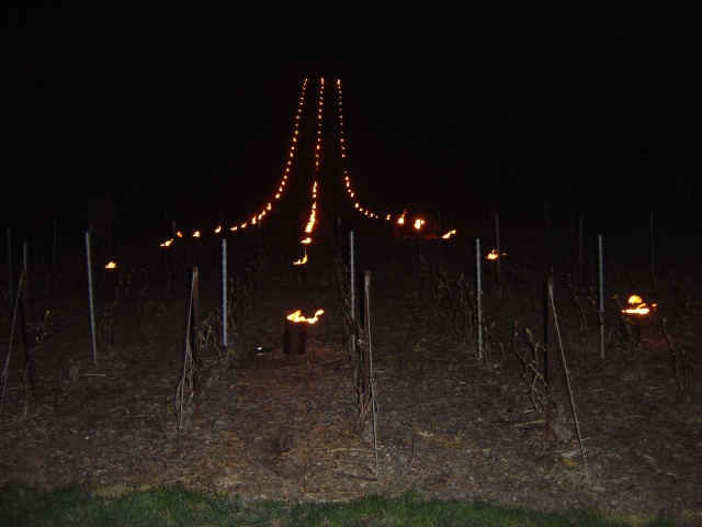 A Mongenost (51) dans les vignes, des bougies pour Pâques 606067Bougie1