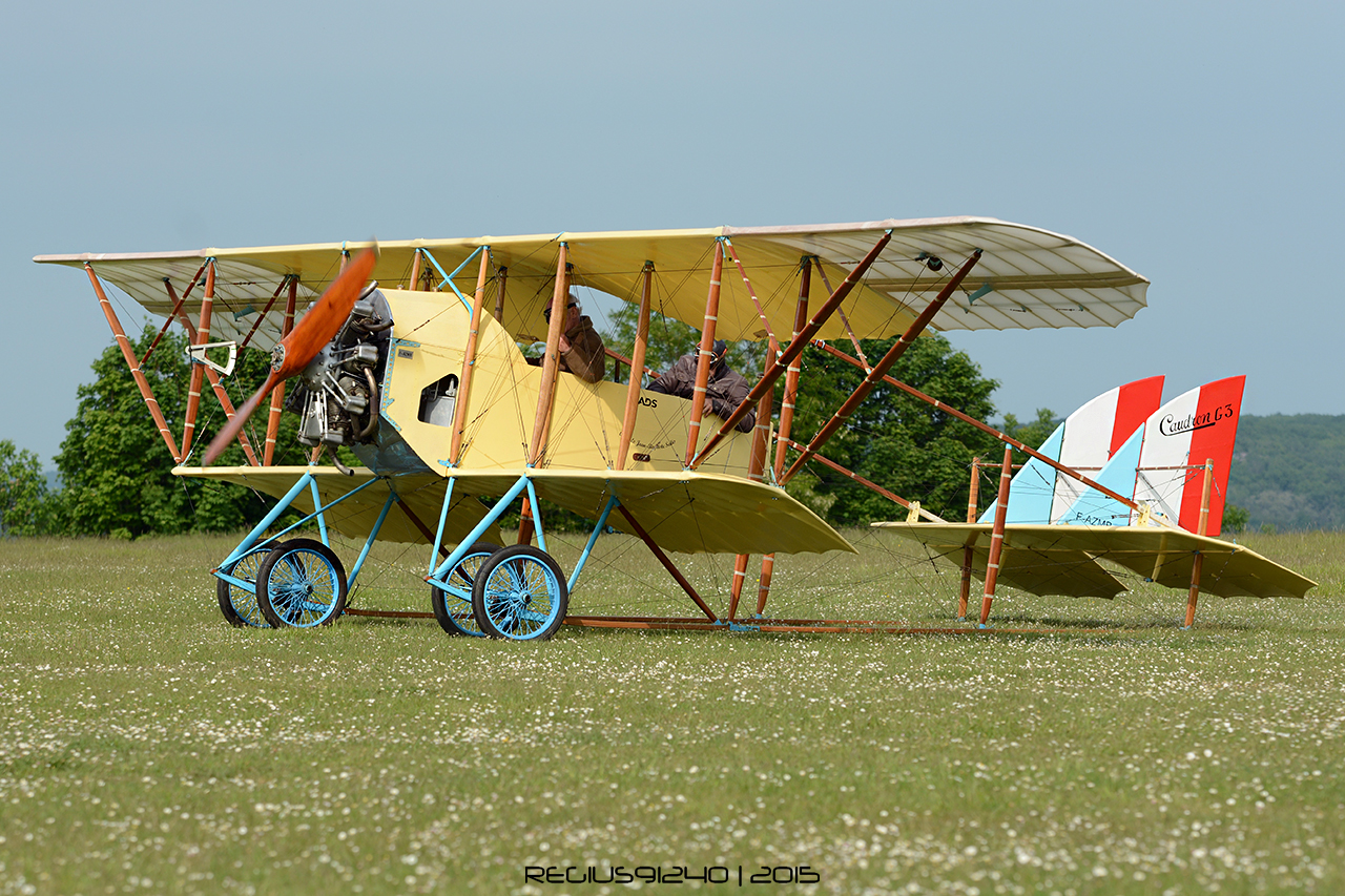 Aérodrome de La Ferté Alais - Page 6 608371DSC4255