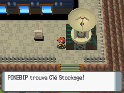 Du septième badge à la Ligue Pokémon 608502050