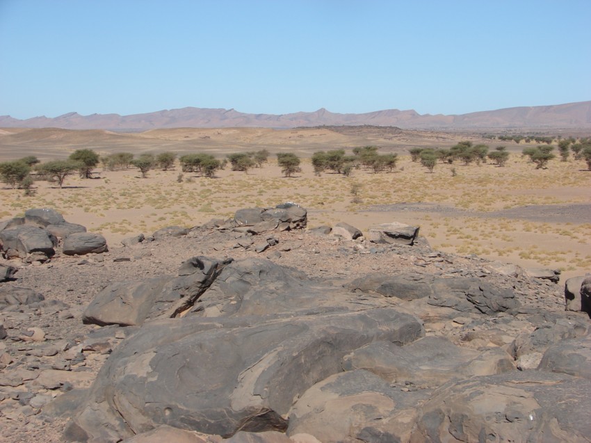 Le Grand Sud du Maroc - II 609095115