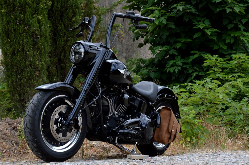 FAT BOY COMBIEN  SUR LE FORUM PASSION-HARLEY - Page 2 612951DSC1023