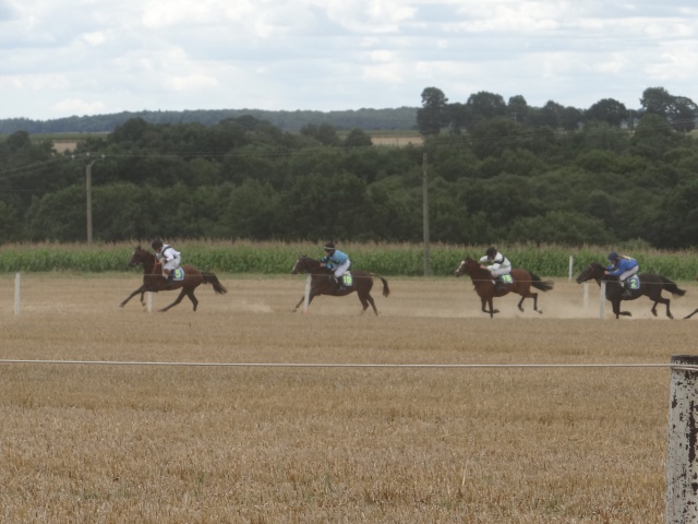 courses de poneys en bretagne 616589DSC00421