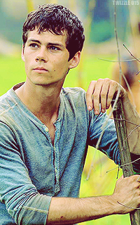 Dylan O'Brien ▬ 200*320 619020DYLANOBRIEN8