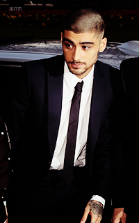 ✽ Giulia's display 623100zayn2