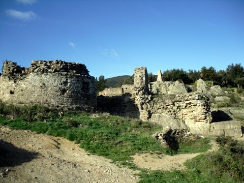 Promenade dans les Albères 623557SDC16284