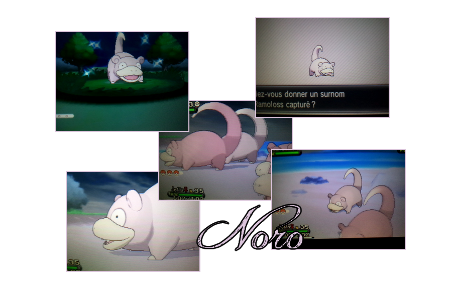 Déclaration de Shiny (1/8192 + 1/4096) - Page 2 629446NORO