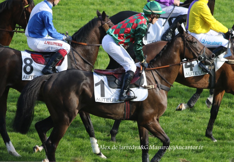 Photos Auteuil 9-10-2016 6301475J6A7859