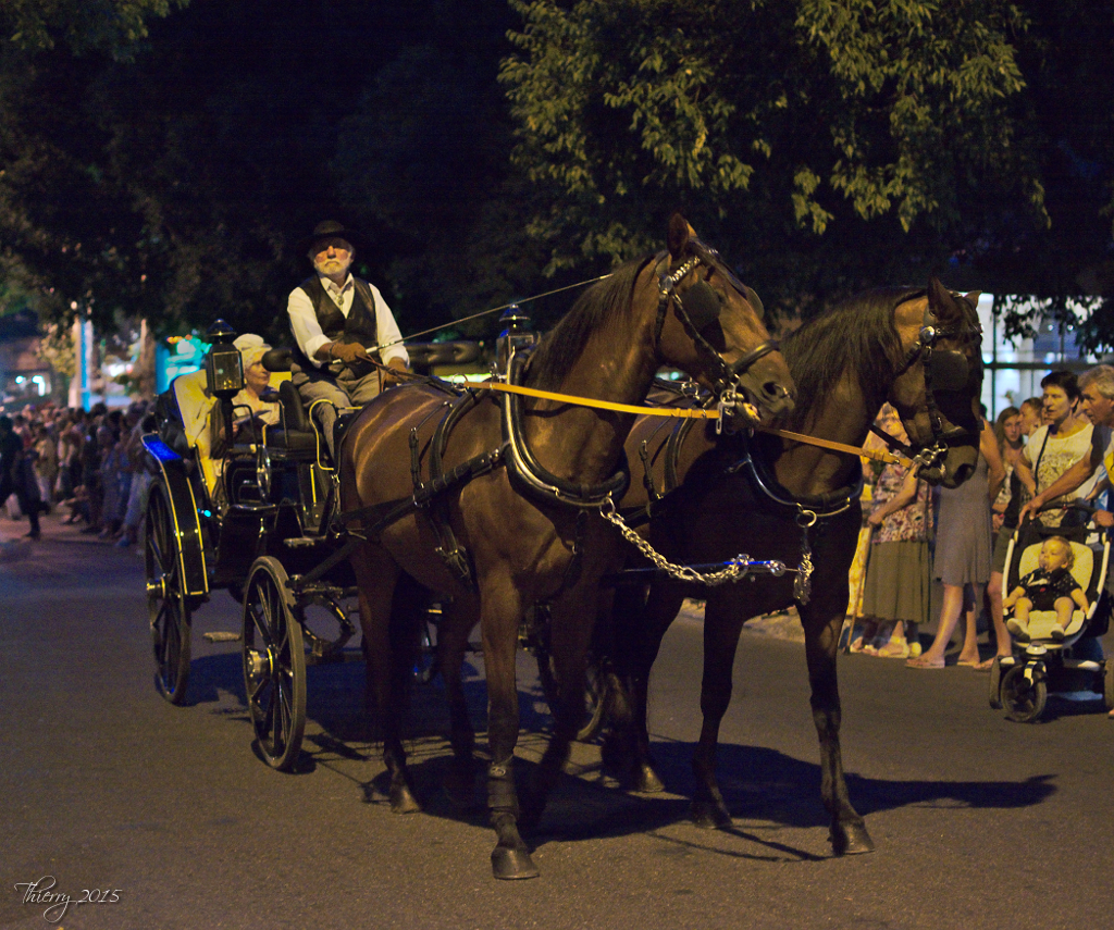 Pégoulado des fêtes d'Arles 2015 633967DSC016101